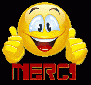 smiley-merci-120-gif.jpg-300x282.gif