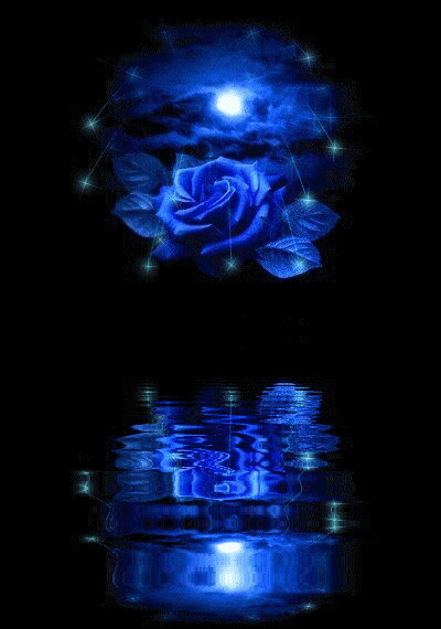 Цветы анимация. Блестящие картинки. Гивки цветы. Rose-bleue