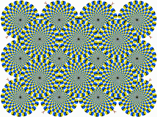 illusion.jpg